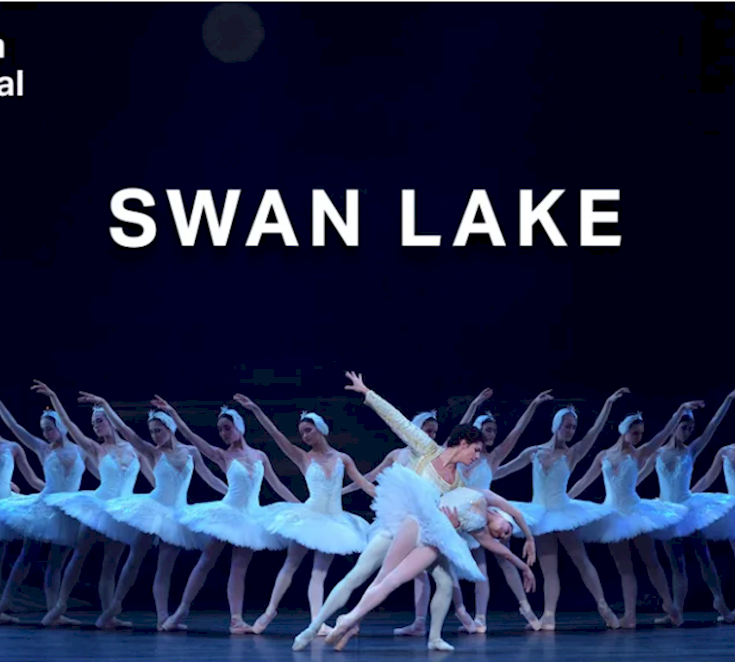 swan lake ENB.PNG